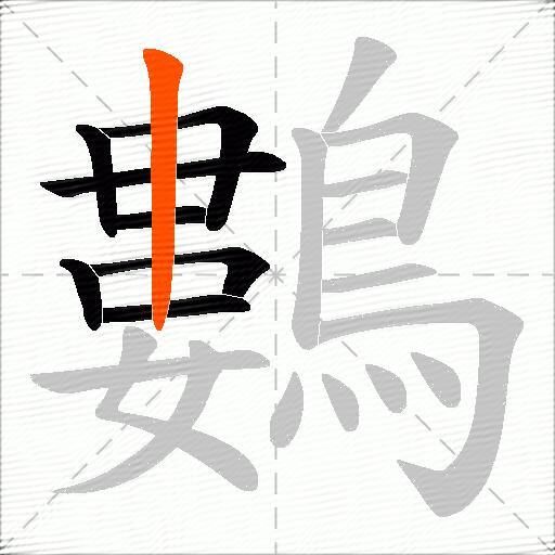 鷜