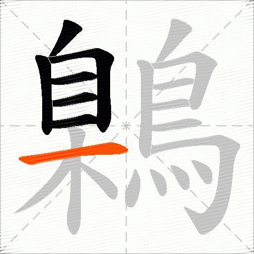 鷍