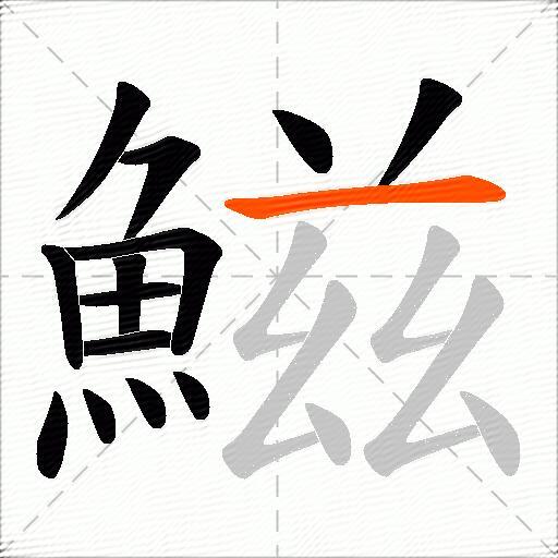 鰦