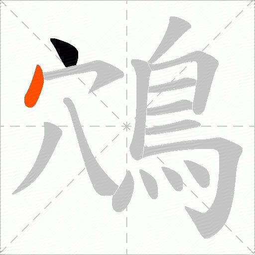 鴪