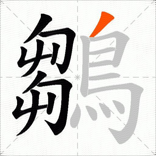 鶵