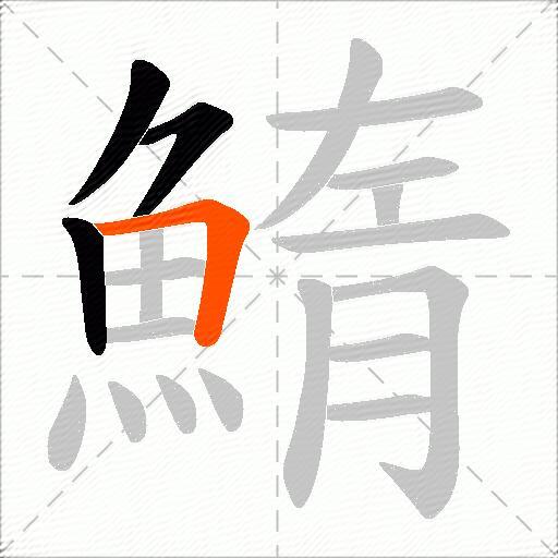鰖