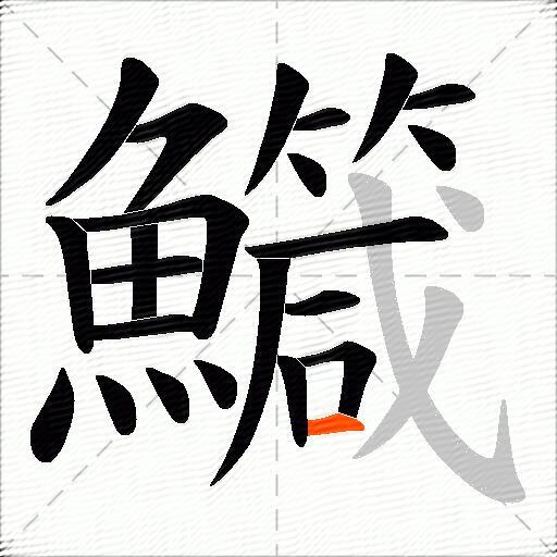 鱵