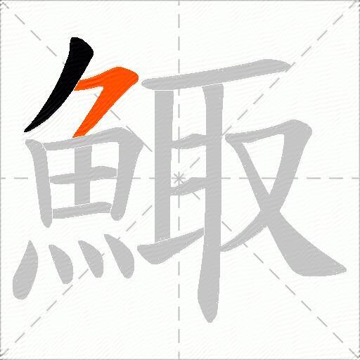 鯫