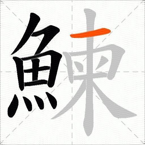 鰊