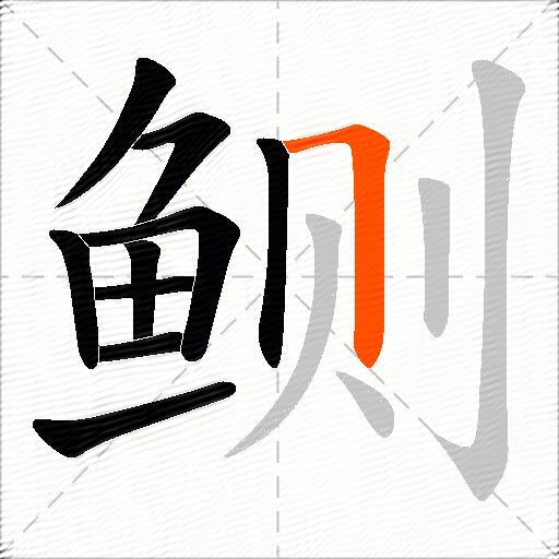 鲗