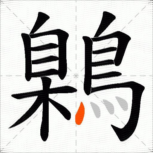 鷍