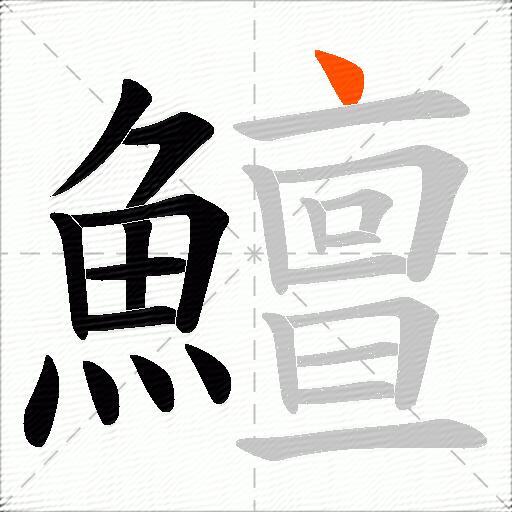 鱣