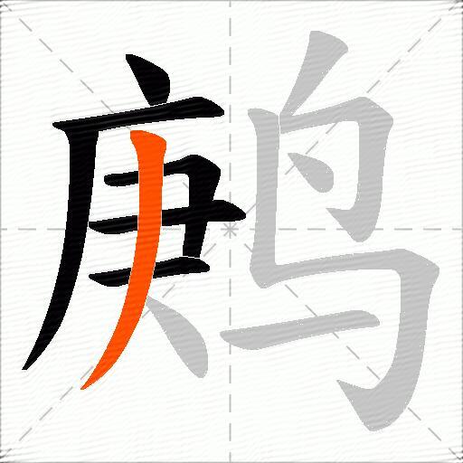 鹒