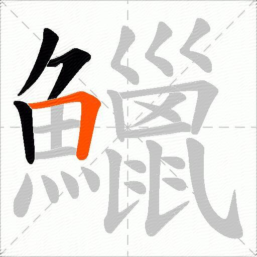 鱲