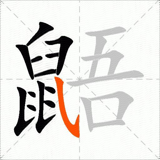 鼯
