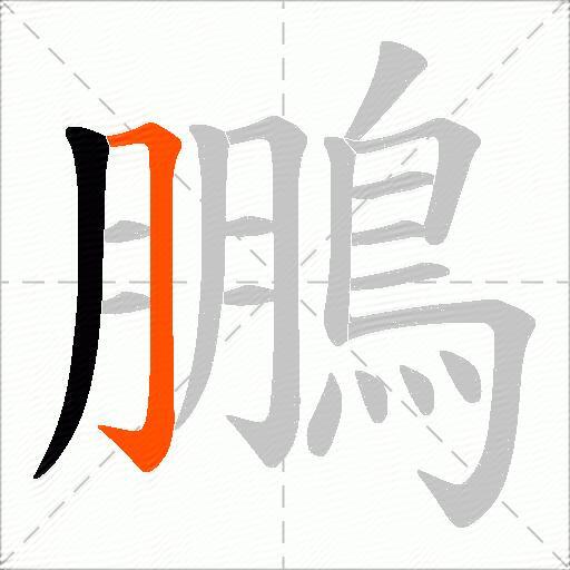 鵬
