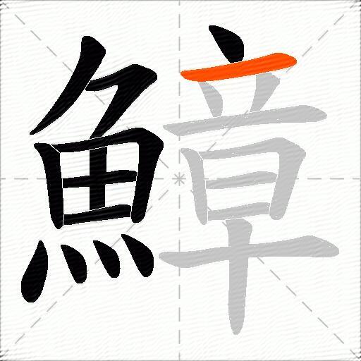 鱆