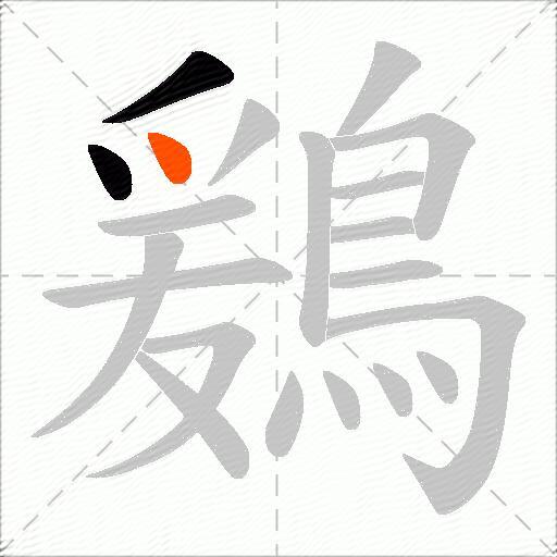 鶢