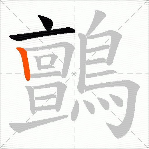 鸇
