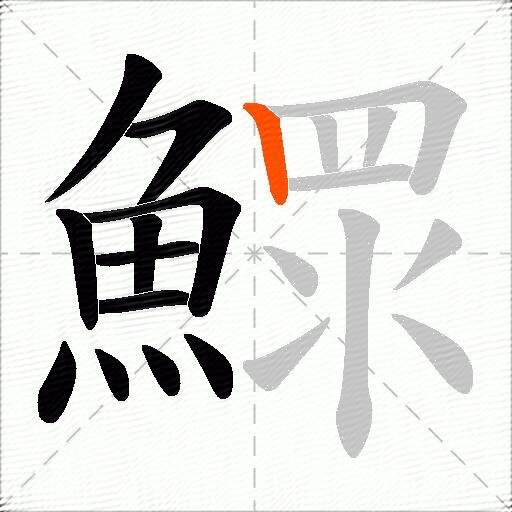 鰥