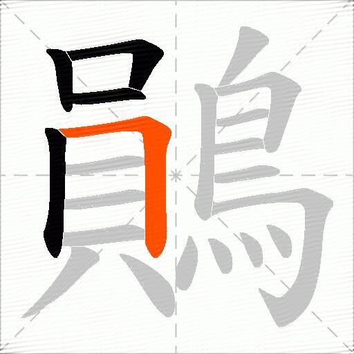 鶰