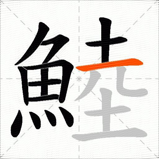 鯥