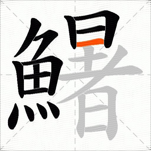 鱪