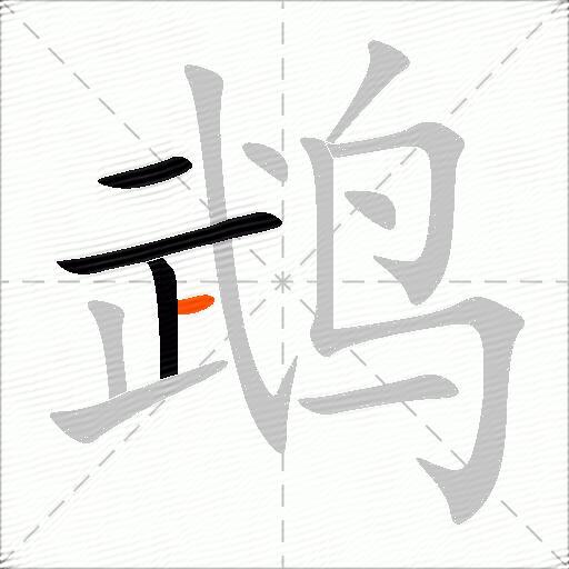 鹉