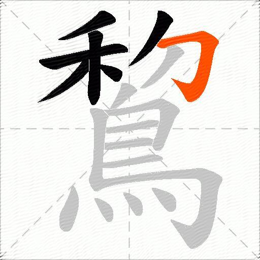 鵹