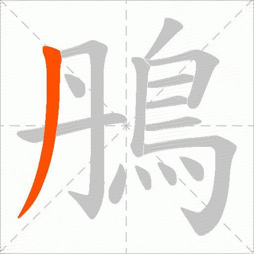 鴅
