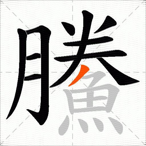鰧