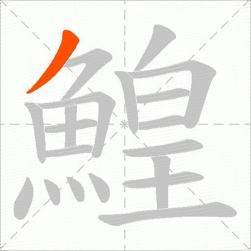 鰉