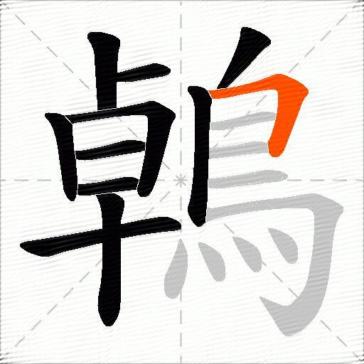 鵫