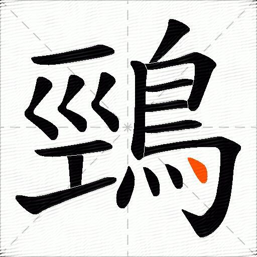鵛