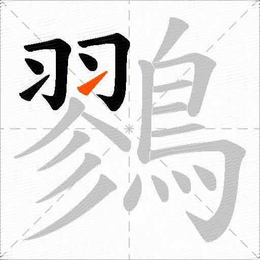 鷚