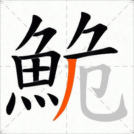 鮠