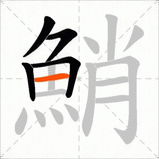 鮹