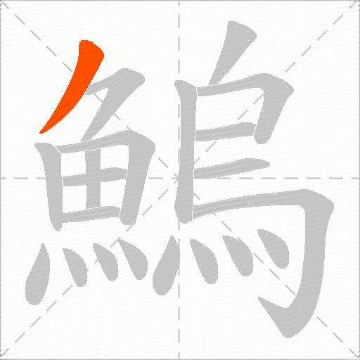 鰞