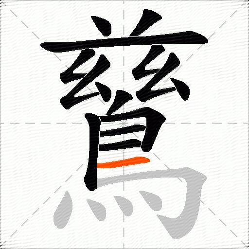 鶿