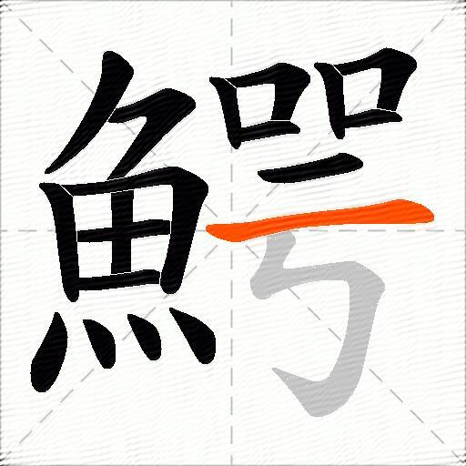 鰐