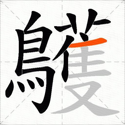 鸌