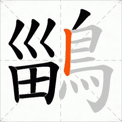 鶅