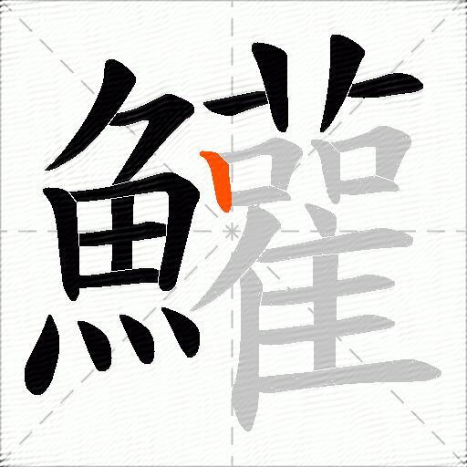鱹