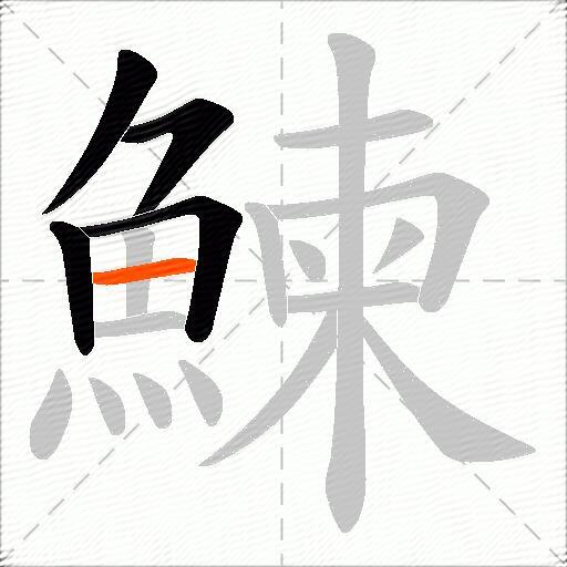 鰊