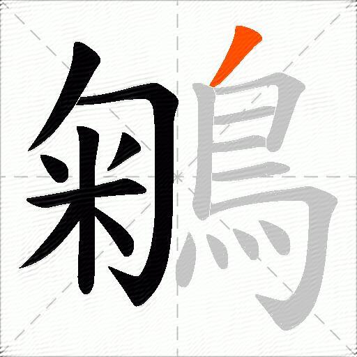 鵴