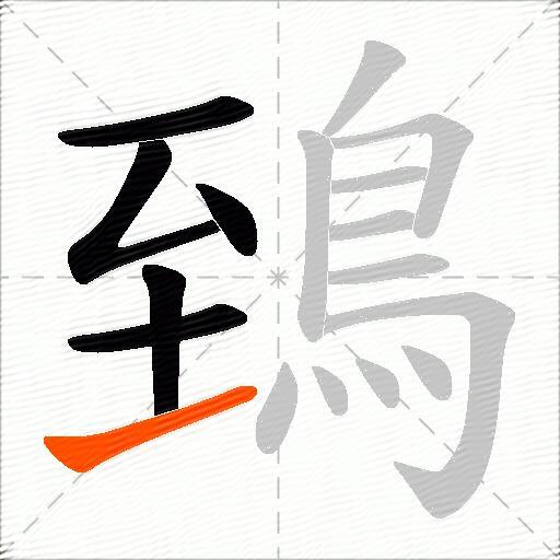 鵄