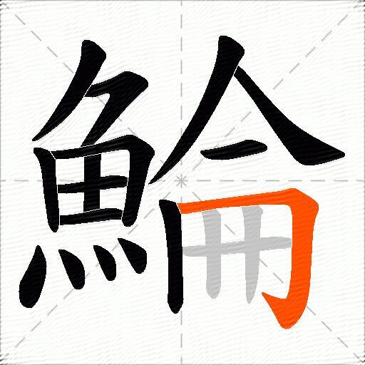 鯩
