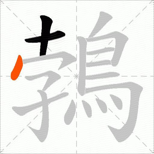 鵓
