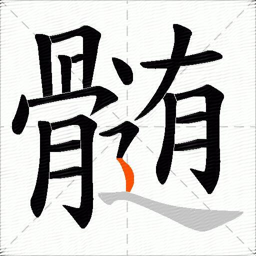 髄
