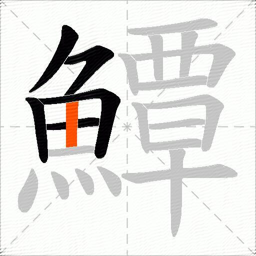 鱏