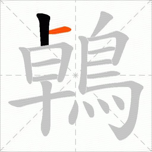 鵫