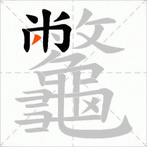 龞
