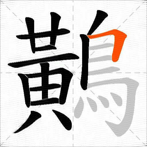 鷬