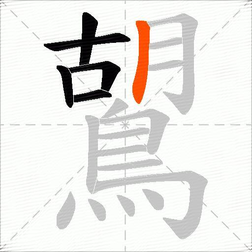 鶦